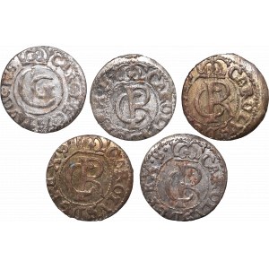 A set of coins from Riga mint 1655 and 4 pieces of 1665