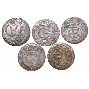 A set of coins from Riga mint from 1661-1665