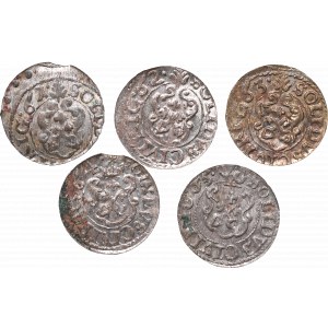 A set of coins from Riga mint from 1661-1665