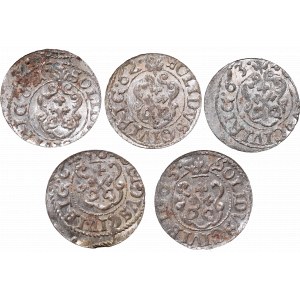 A set of coins from Riga mint from 1661-1665