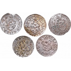 A set of coins from Riga mint from 1661-1663 i 1665