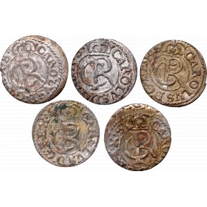 A set of coins from Riga mint from 1661-1665