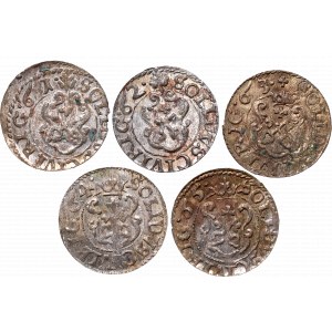 A set of coins from Riga mint from 1661-1665