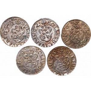 A set of coins from Riga mint from 1661-1665