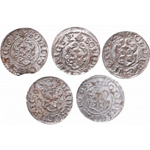 A set of coins from Riga mint from 1661-1663 i 1665