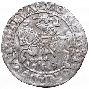 Sigismund II Augustus, Half-groat 1559, Vilnius - L/LITVA