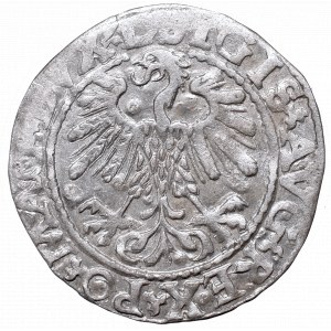 Sigismund II Augustus, Half-groat 1559, Vilnius - L/LITVA