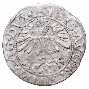 Sigismund II Augustus, Half-groat 1562, Vilnius, L/LITVA