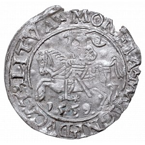 Sigismund II Augustus, Half-groat 1559, Vilnius - L/LITVA