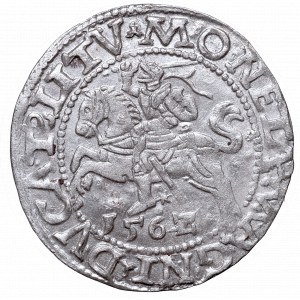 Zygmunt II August, Półgrosz 1562, Wilno, L/LITV
