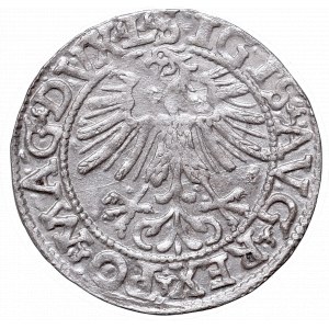 Zygmunt II August, Półgrosz 1562, Wilno, L/LITV