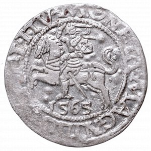 Sigismund II Augustus, Half-groat 1565, Vilnius, L/LITV