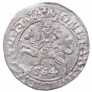 Sigismund II Augustus, Half-groat 1564, Vilnius, L/LITVA