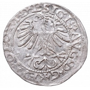 Sigismund II Augustus, Half-groat 1564, Vilnius, L/LITVA