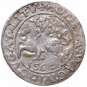 Sigismund II Augustus, Half-groat 1564, Vilnius, L/LITV