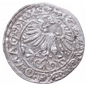 Sigismund II Augustus, Half-groat 1561, Vilnius, L/LITVA