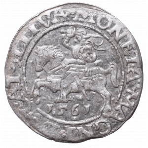 Sigismund II Augustus, Half-groat 1561, Vilnius, L/LITVA