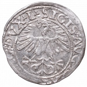 Sigismund II Augustus, Half-groat 1561, Vilnius, L/LITVA