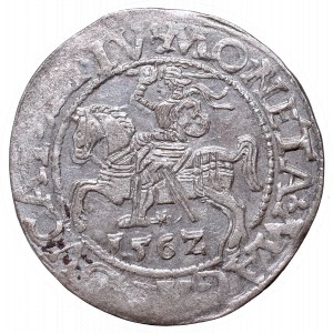 Sigismund II Augustus, Half-groat 1562, Vilnius, LI/LITV