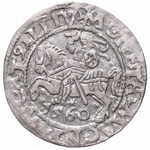 Sigismund II Augustus, Half-groat 1560, Vilnius, L/LITV