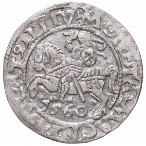 Zygmunt II August, Półgrosz 1560, Wilno, L/LITV