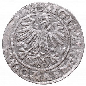 Sigismund II Augustus, Half-groat 1560, Vilnius, L/LITV