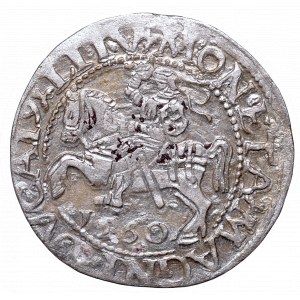 Sigismund II Augustus, Half-groat 1560, Vilnius, L/LITV