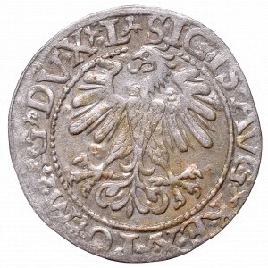 Sigismund II Augustus, Half-groat 1560, Vilnius, L/LITV