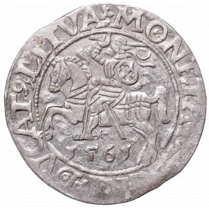 Sigismund II Augustus, Half-groat 1561, Vilnius, L/LITVA