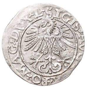 Sigismund II Augustus, Half-groat 1561, Vilnius, L/LITVA