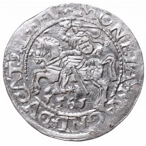 Sigismund II Augustus, Half-groat 1562, Vilnius, L/LITV