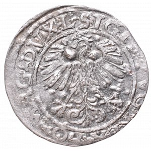 Zygmunt II August, Półgrosz 1561, Wilno, L/LITV