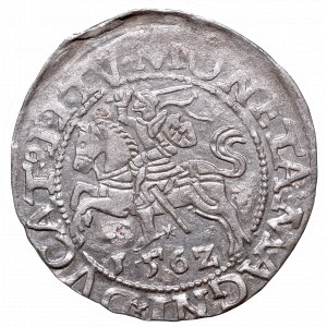 Sigismund II Augustus, Half-groat 1562, Vilnius, L/LITV