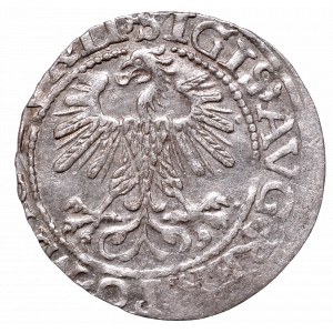 Sigismund II Augustus, Half-groat 1560, Vilnius, LI/LITV