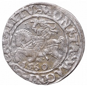 Zygmunt II August, Półgrosz 1560, Wilno, L/LITV