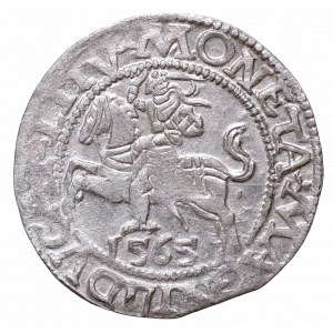 Sigismund II Augustus, Half-groat 1565, Vilnius, L/LITV