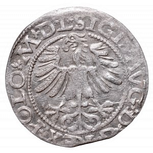 Sigismund II Augustus, Half-groat 1565, Vilnius, L/LITV