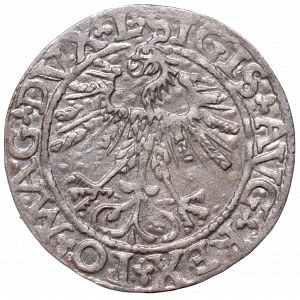 Zygmunt II August, Półgrosz 1562, Wilno, L/LITVA