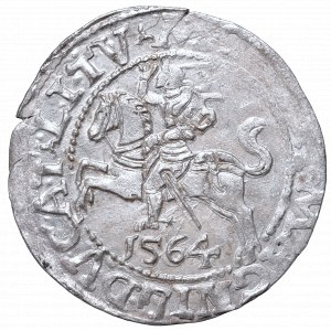 Sigismund II Augustus, Half-groat 1564, Vilnius, L/LITV