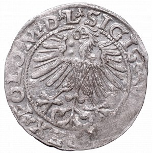 Sigismund II Augustus, Half-groat 1563, Vilnius, L/LITVA