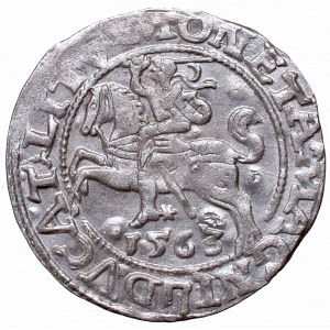 Zygmunt II August, Półgrosz 1563, Wilno, L/LITV