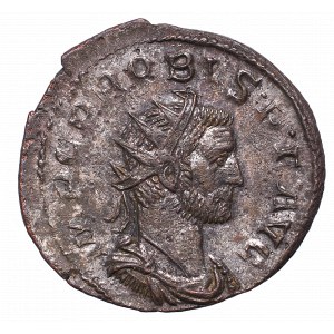 Roman Empire, Probus, Antonininan Lugdunum