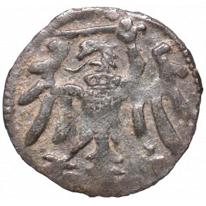 Sigismund the Old, Denarius without date, Elbing