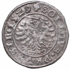 Sigismund I the Old, solidus 1529, Thorn