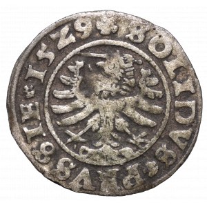 Sigismund I the Old, solidus 1529, Thorn