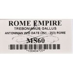 Roman Empire, Trebonianus Gallus, Antoninian