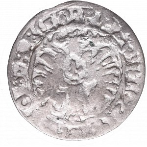 Sigismund III Wasa, 1 groschen