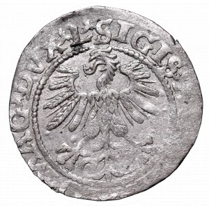 Sigismund II August, Half-groat 1560, Vilnius, L/LIT??
