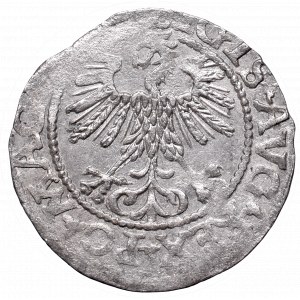 Sigismund II August, Half-groat 1560, Vilnius, L?/LITVA