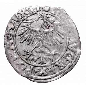 Sigismund II August, Half-groat 1556, Vilnius - LI/LITVA